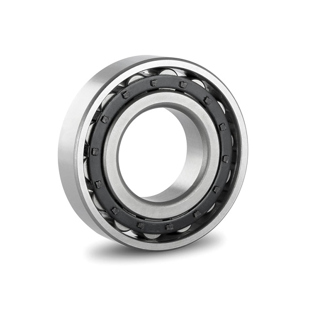 MRJ5/8 Budget Cylindrical Roller Bearing - (CRM5) 1/2 x 1-5/8 x 1/2